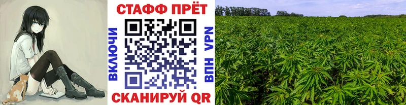 Где найти наркотики Иваново АМФЕТАМИН  ГАШ  МАРИХУАНА  Псилоцибиновые грибы  COCAIN 