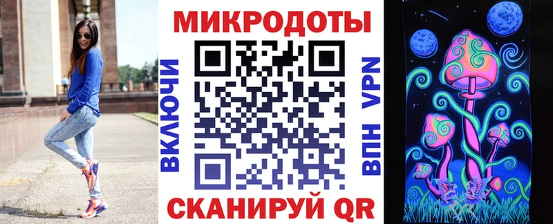 Псилоцибиновые грибы Psilocybe  закладки  Иваново 