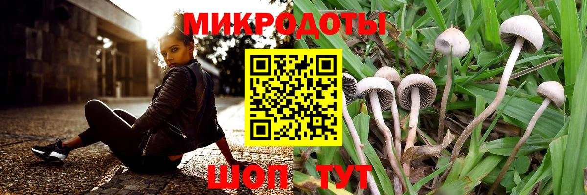 Галлюциногенные грибы прущие грибы  Галлюциногенные грибы MAGIC MUSHROOMS  Вход с VPN  Иваново 